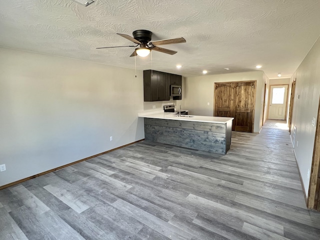 412 S Court St, Seymour, MO 65746 - kitchen with light wood-style floors, a peninsula, a ceiling fan, a sink, and stainless steel appliances