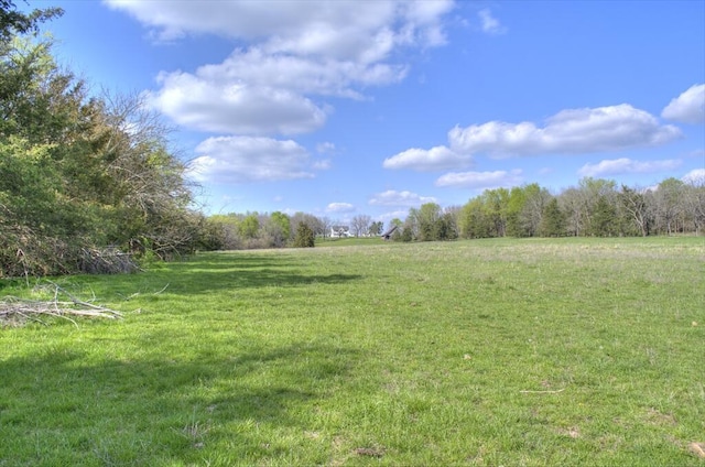 view of yard featuring a rural view