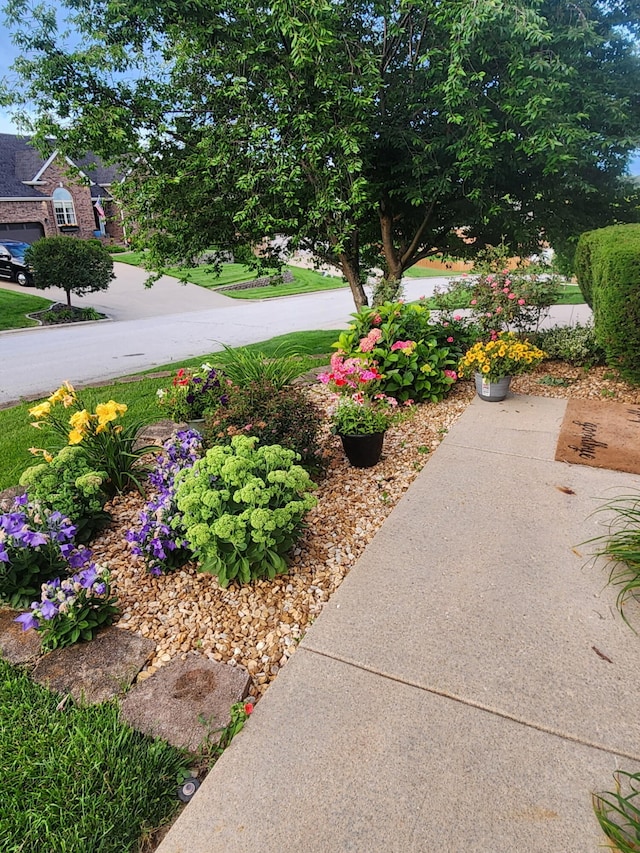 2712 W Executive Cir, Ozark, MO 65721 - view of yard