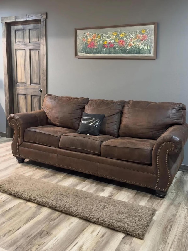 203 E Steel St, Seymour, MO 65746 - living area with wood finished floors
