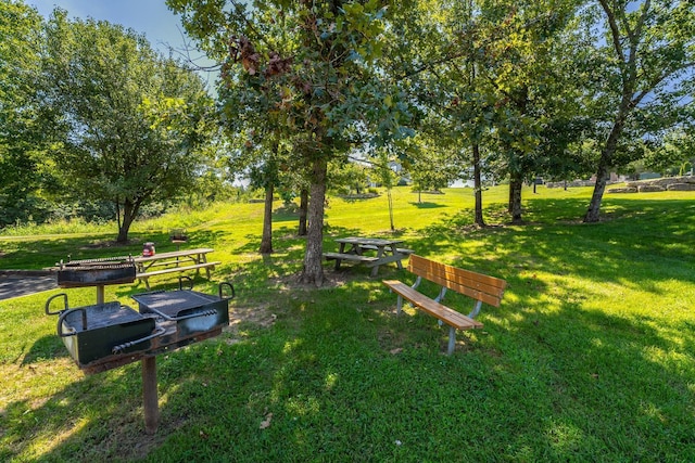 view of home's community with a yard