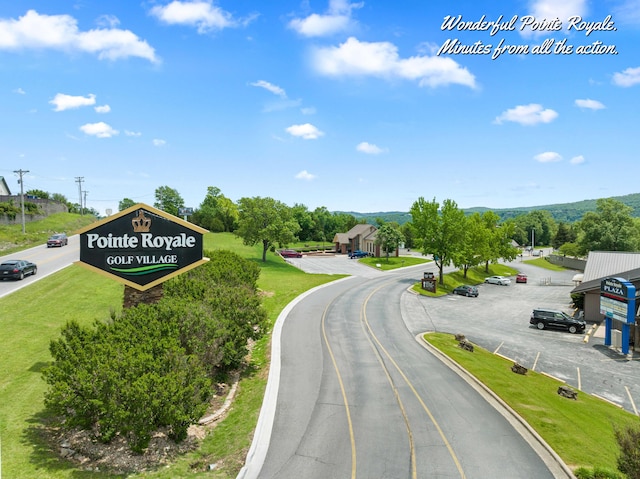 160 The Blfs Unit 3, Branson, MO 65616 - view of road