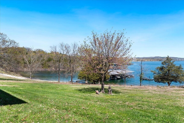 500 Navajo Trl, Kimberling City, MO 65686 - view of water feature