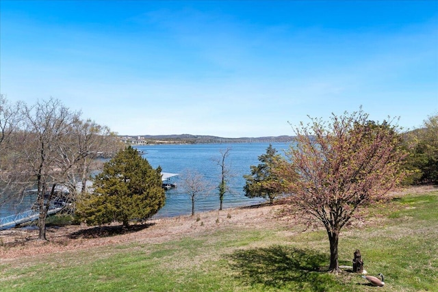 500 Navajo Trl, Kimberling City, MO 65686 - water view featuring a boat dock