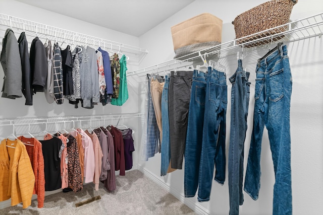 704 E Waterford Blvd, Ozark, MO 65721 - walk in closet with visible vents and carpet