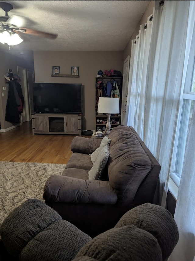85 Peggy Ave, Mammoth Spring, AR 72554 - living room with light wood finished floors, a ceiling fan, plenty of natural light, and a textured ceiling