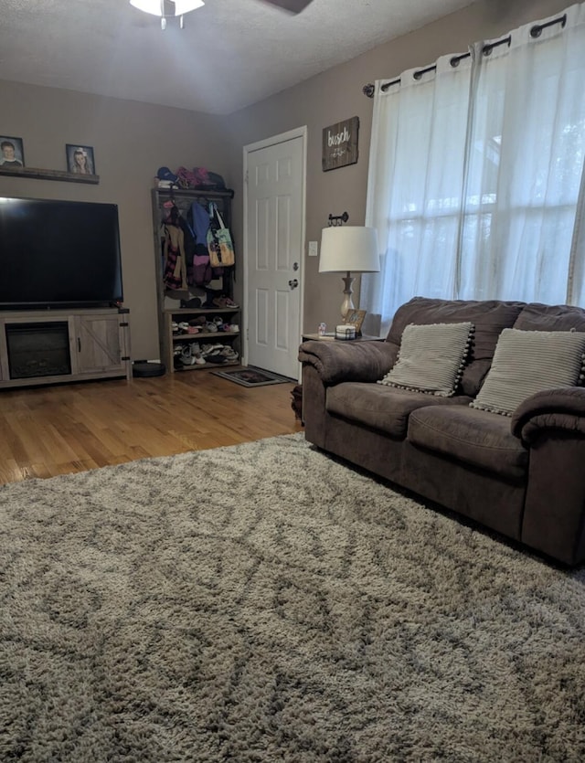 85 Peggy Ave, Mammoth Spring, AR 72554 - living room with wood finished floors and ceiling fan