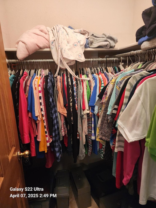 spacious closet with carpet flooring