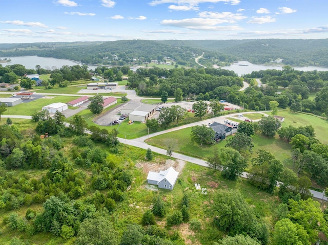 195 Fairsight Rd, Cape Fair, MO 65624 - photo 6