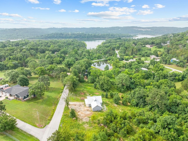 195 Fairsight Rd, Cape Fair, MO 65624 - photo 4