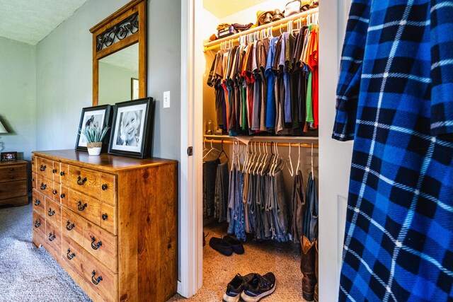 spacious closet with carpet flooring