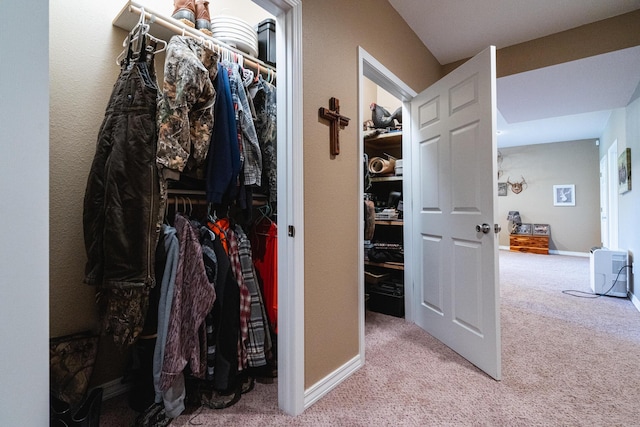 view of closet