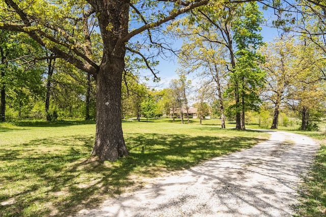 surrounding community with a lawn