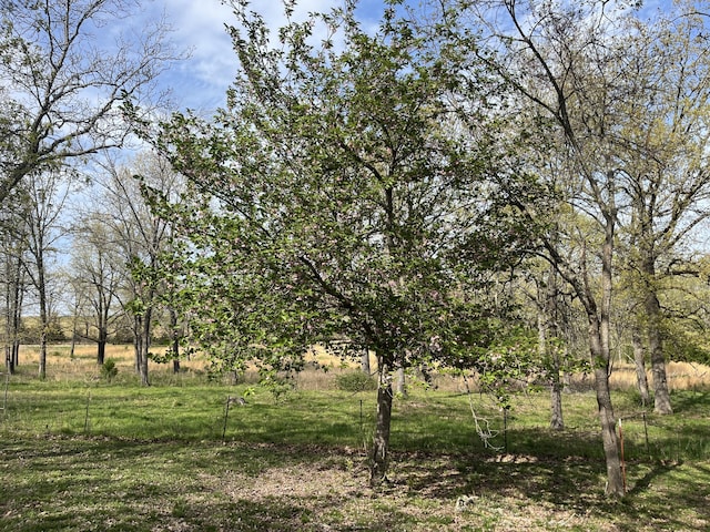 106 Ellison Ln, Gainesville, MO 65655 - photo 21