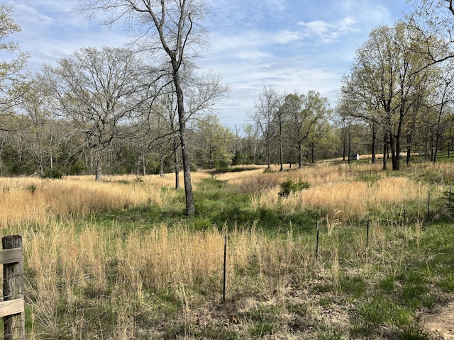 106 Ellison Ln, Gainesville, MO 65655 - photo 38