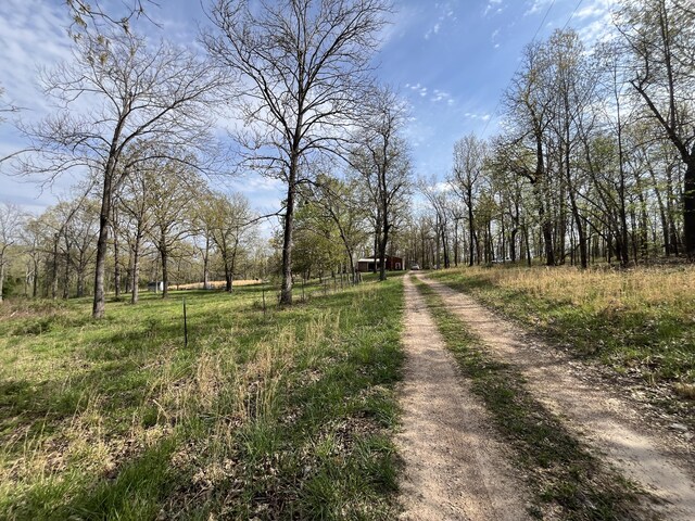 106 Ellison Ln, Gainesville, MO 65655 - photo 37