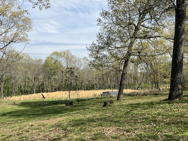 106 Ellison Ln, Gainesville, MO 65655 - photo 19