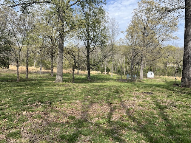 106 Ellison Ln, Gainesville, MO 65655 - photo 40