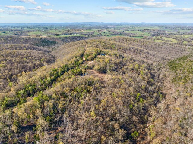 000 Tower Rd, Omaha, AR 72662 - photo 9