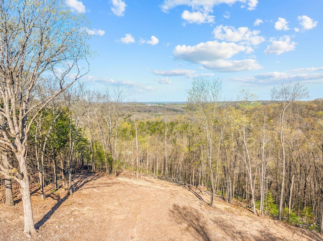 000 Tower Rd, Omaha, AR 72662 - photo 4