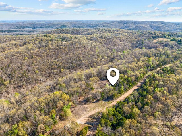 000 Tower Rd, Omaha, AR 72662 - photo 11