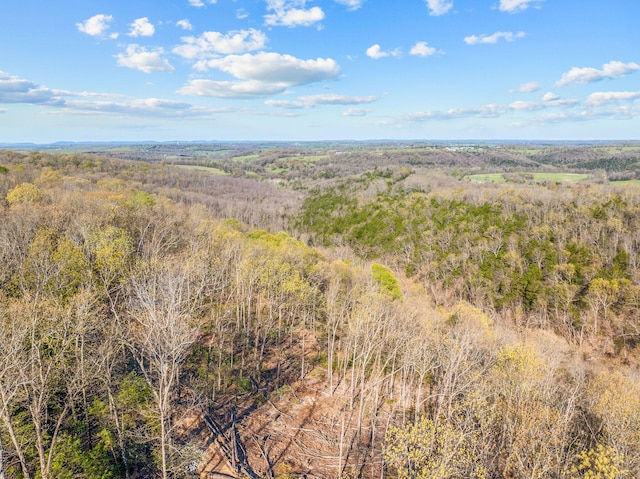 000 Tower Rd, Omaha, AR 72662 - photo 17