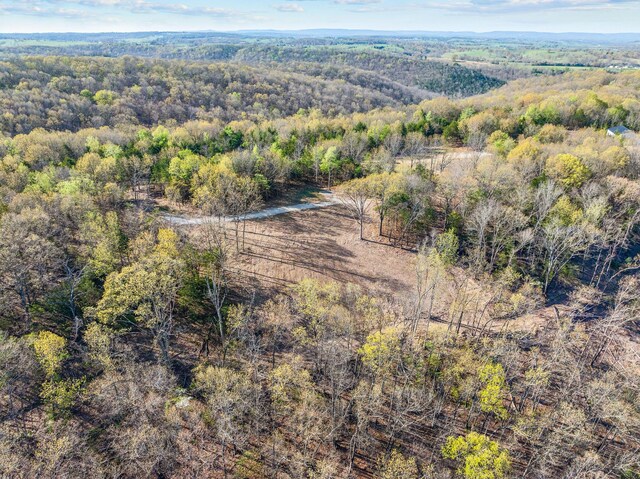 000 Tower Rd, Omaha, AR 72662 - photo 15