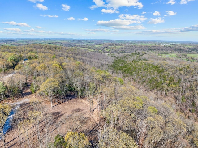 000 Tower Rd, Omaha, AR 72662 - photo 16