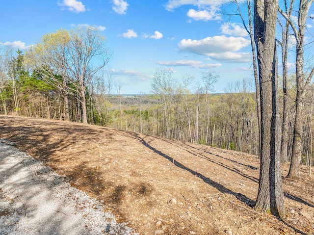 000 Tower Rd, Omaha, AR 72662 - photo 1
