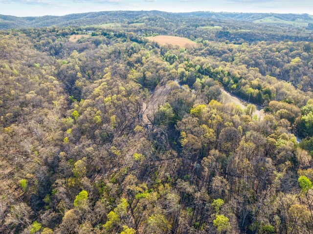 000 Tower Rd, Omaha, AR 72662 - photo 13