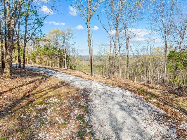 000 Tower Rd, Omaha, AR 72662 - photo 3