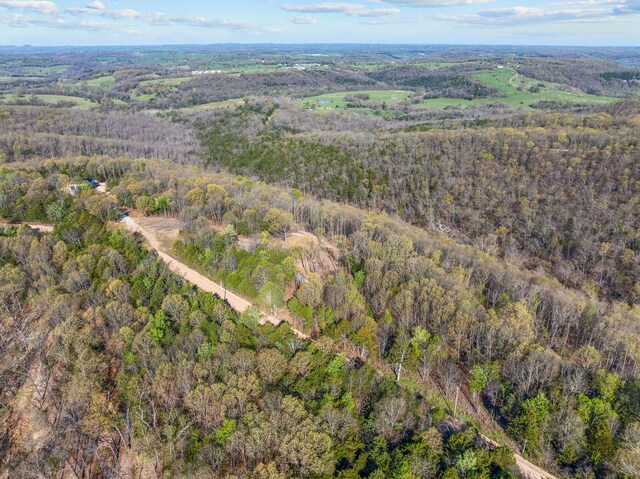 000 Tower Rd, Omaha, AR 72662 - photo 6