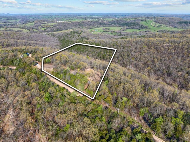 000 Tower Rd, Omaha, AR 72662 - photo 5