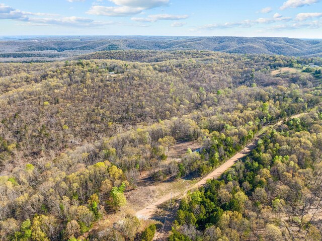 000 Tower Rd, Omaha, AR 72662 - photo 12