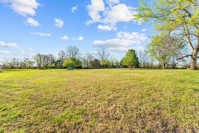 6246 Burlington Loop, Omaha, AR 72662 - photo 54