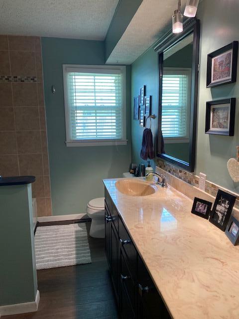 bathroom featuring toilet, vanity, wood finished floors, and a healthy amount of sunlight