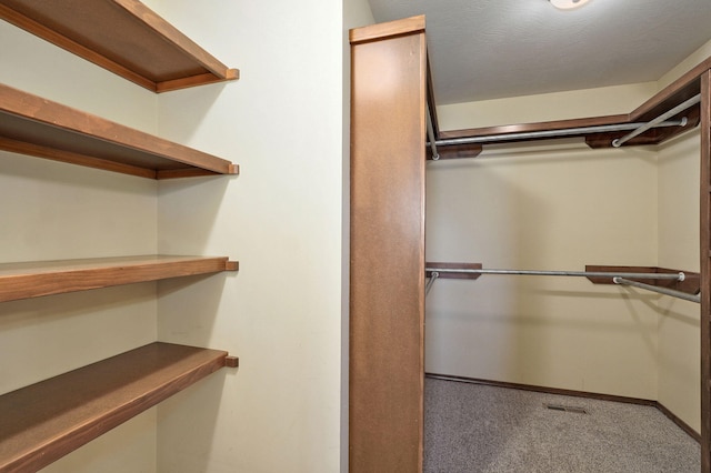 3684 Bridgewood Ave N, Springfield, MO 65803 - walk in closet featuring carpet flooring