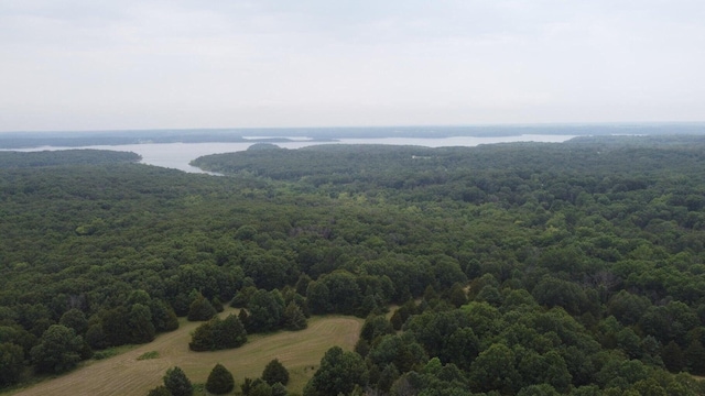 birds eye view of property featuring a water view and a forest view