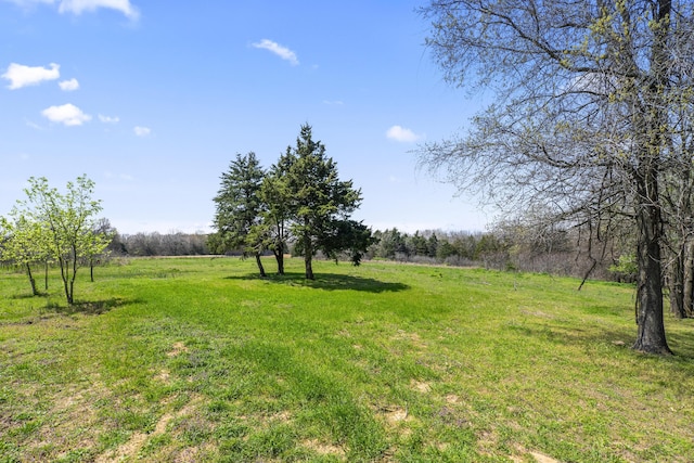 view of yard with a rural view