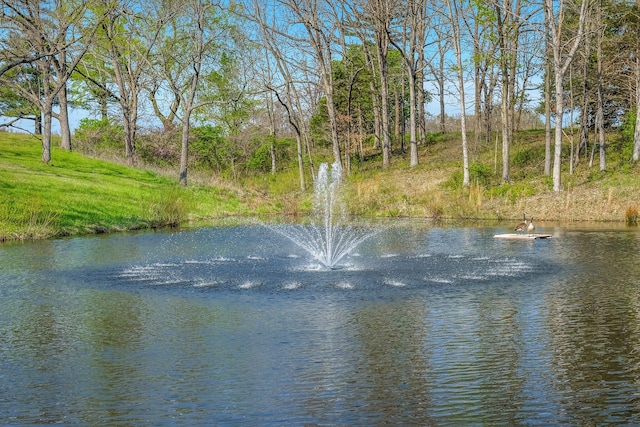 water view
