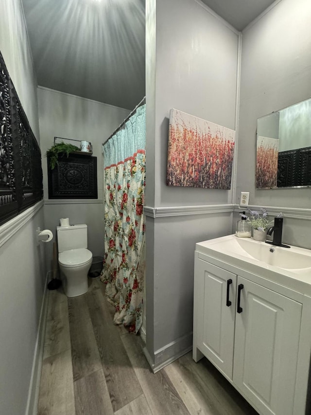 509 S Mansfield Rd, Ava, MO 65608 - full bath featuring a shower with shower curtain, vanity, baseboards, toilet, and wood finished floors
