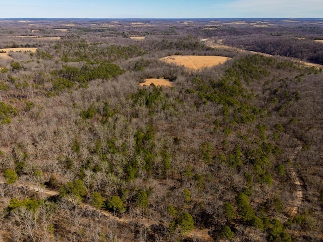 000 County Road 179, Dora, MO 65637 - photo 5