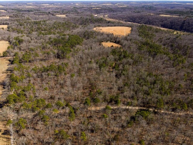 000 County Road 179, Dora, MO 65637 - photo 1