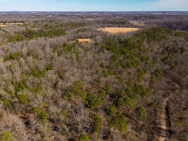 000 County Road 179, Dora, MO 65637 - photo 6