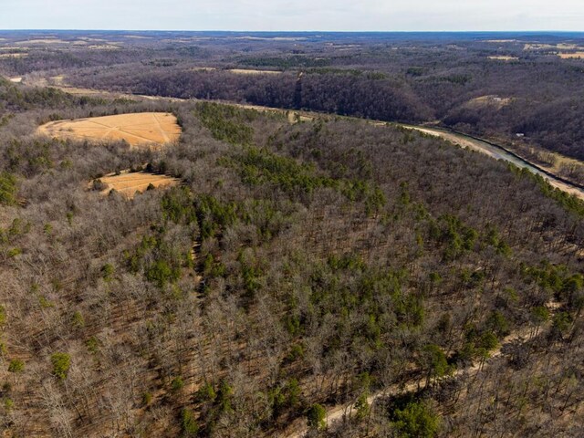 000 County Road 179, Dora, MO 65637 - photo 2