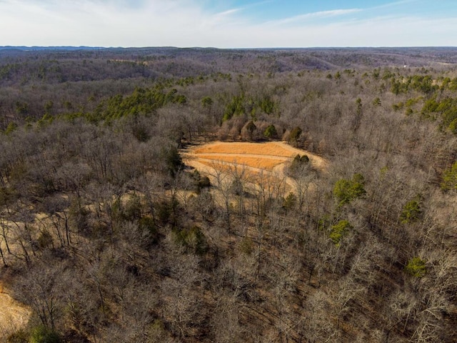 000 County Road 179, Dora, MO 65637 - photo 11