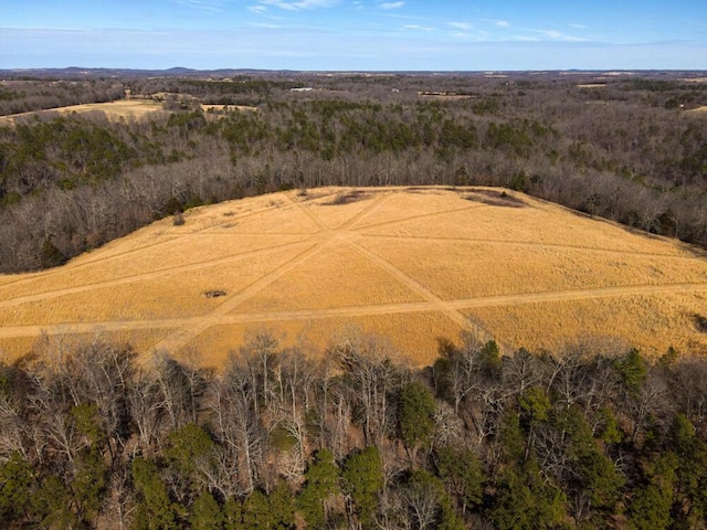 000 County Road 179, Dora, MO 65637 - photo 13