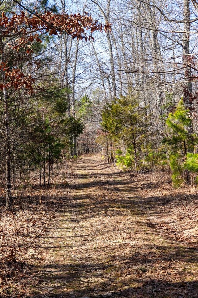 000 County Road 179, Dora, MO 65637 - photo 19