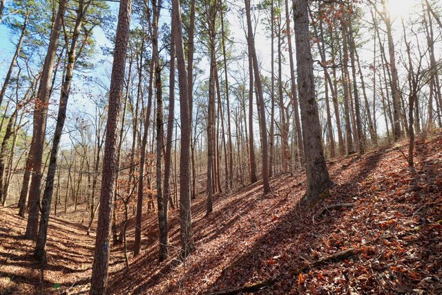 000 County Road 179, Dora, MO 65637 - photo 25
