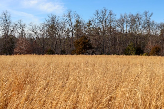 000 County Road 179, Dora, MO 65637 - photo 57